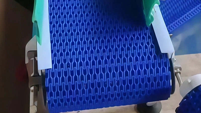 الحزام الشبكي الناقل